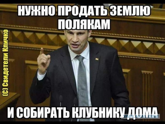 Болельщику с флагом России порвали футболку на трибуне с украинскими фанатами на матче Евро-2020