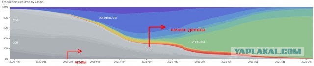 Ученые сравнили смертность от коронавируса у привитых и непривитых