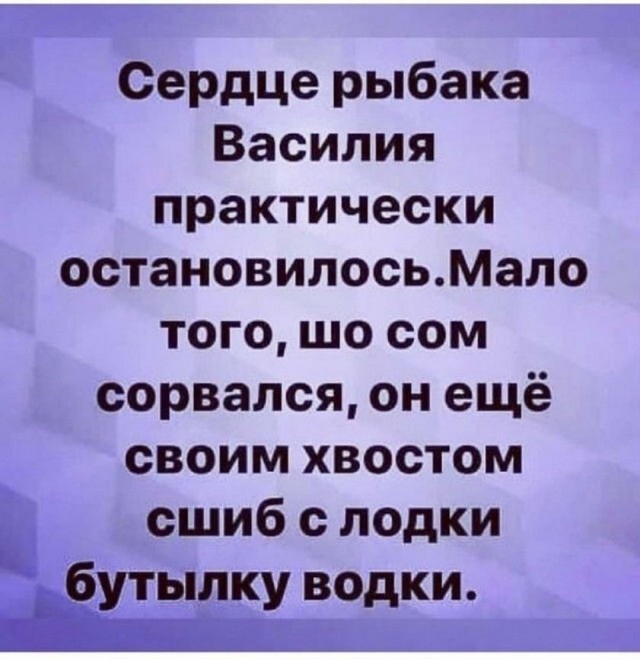 Всяческие картинки 24.12.2021
