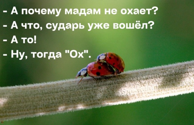 Просто так...