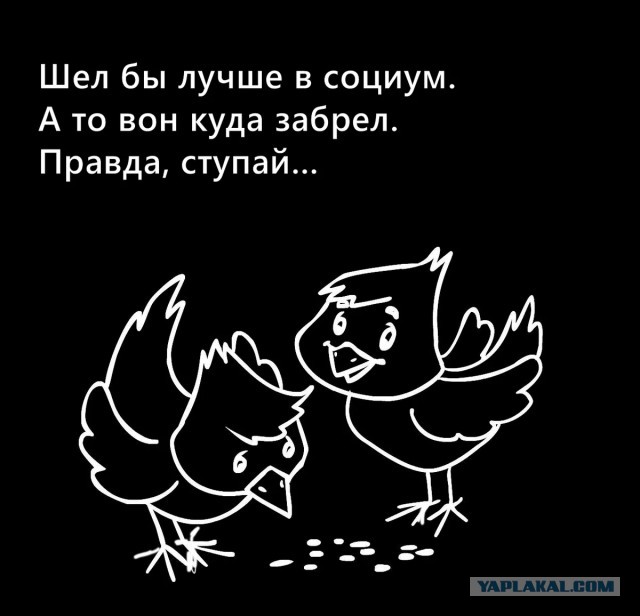 Почему мы не можем найти следы высокоразвитых цивилизаций, живших до человека?