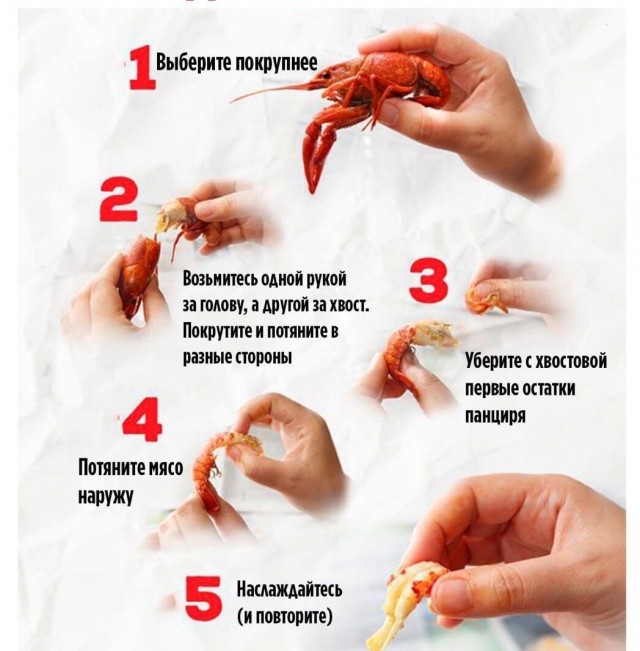 19 важных, нужных и познавательных шпаргалок, которые могут пригодиться в жизни