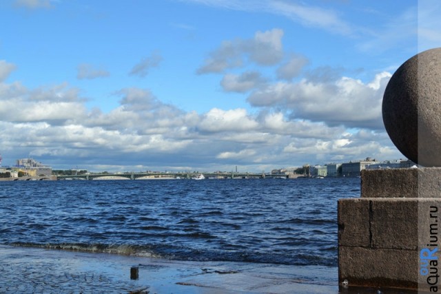 СПб глазами уставшего туриста...