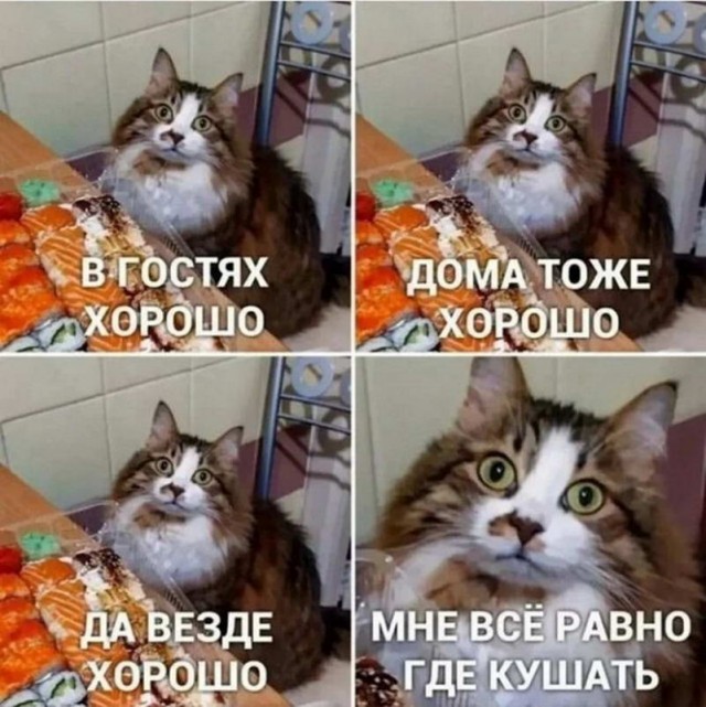 Картинки и мемы. Выходные близко, близко...