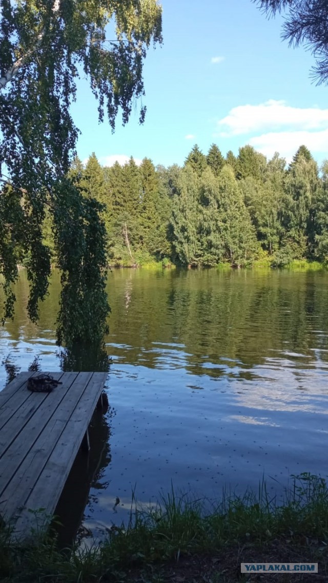 Уха из вчерашних рыбов