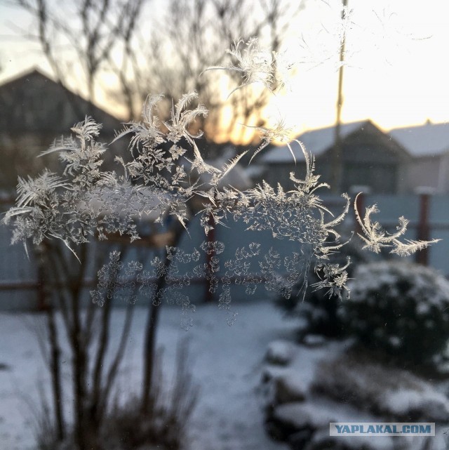 А из нашего окна, вот такая красота