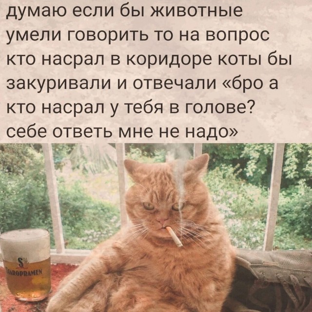 Юмор в картинках и без 22.12.2022