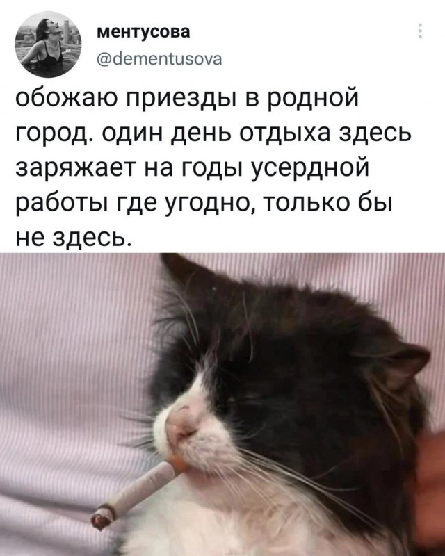 Весёлый полтишок 26.12.2022