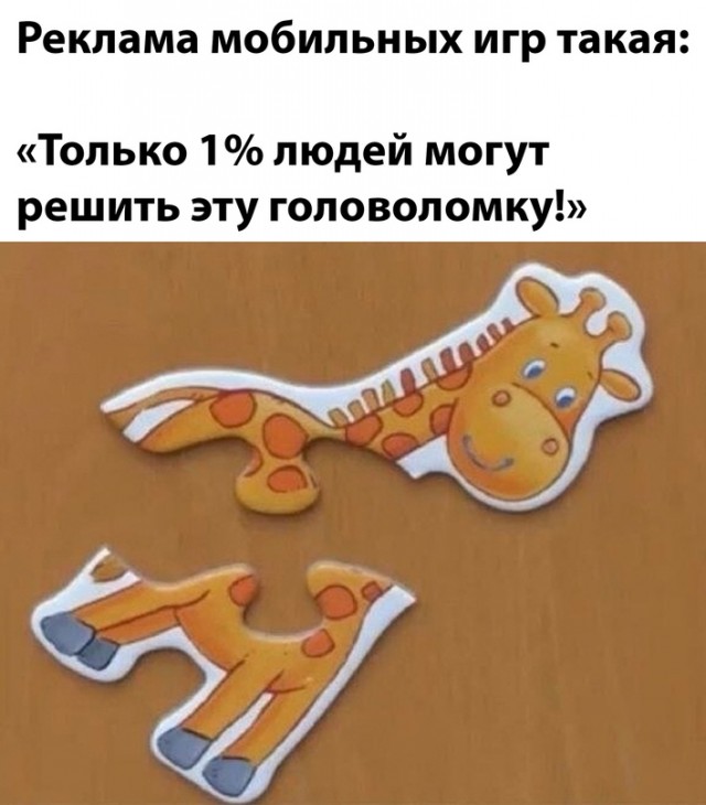 Весёлый полтишок 25.01.23