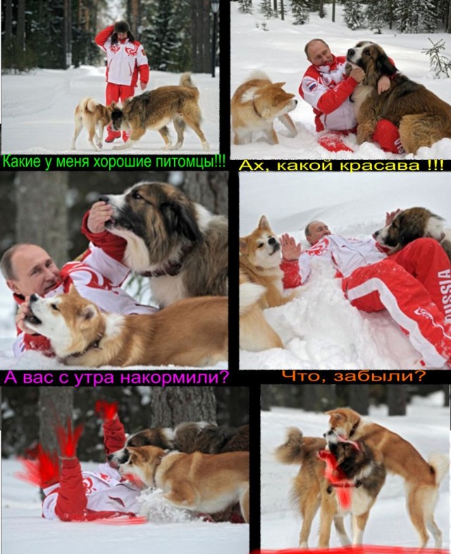 Путинские псы