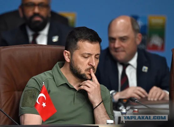 Зеленский попросил Уоллеса написать ему, как именно Киев должен благодарить Запад