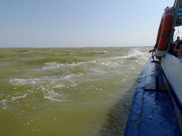 Ейск, приехал с отдыха