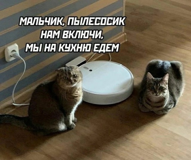 Скупка краденого из сети 09-08-2023