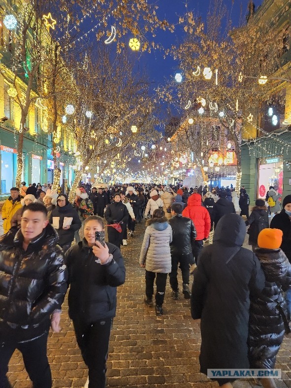 Харбин. Январь 2024