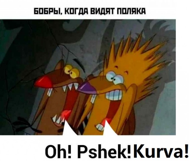 Бобёр не виноват⁠⁠