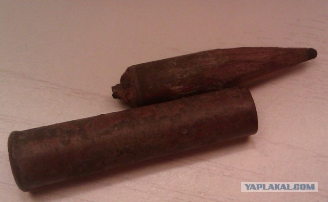 Находки в обычном парке