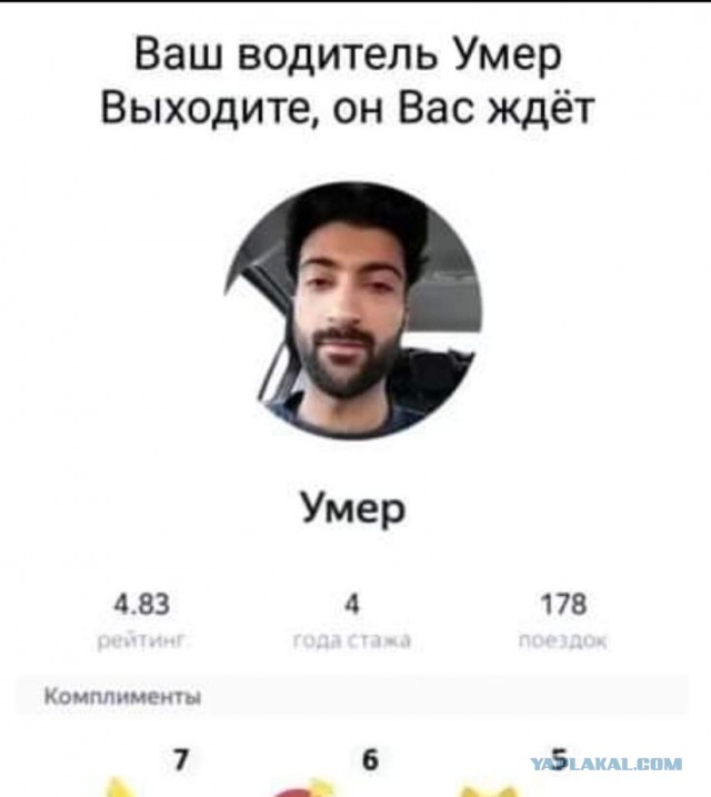 Главное при работе с электричеством - спокойный и надежный напарник!