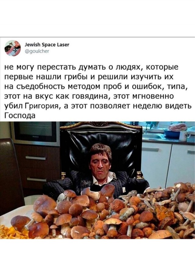 Так себе картинки 10.07.25