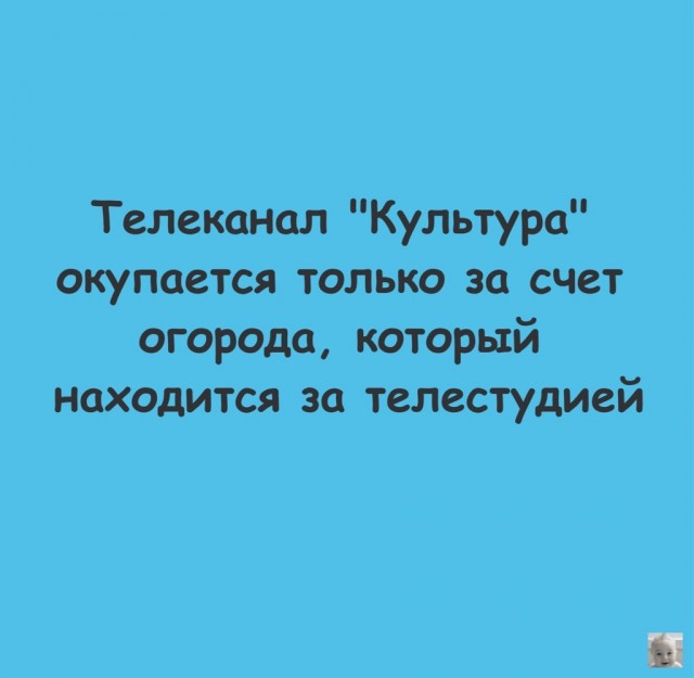 Весёлый полтишок 22.08.25