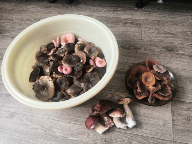 Чиж, шашлык и рязанское жигулевское