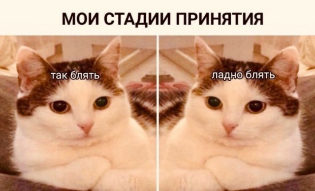 Свалка из картинок