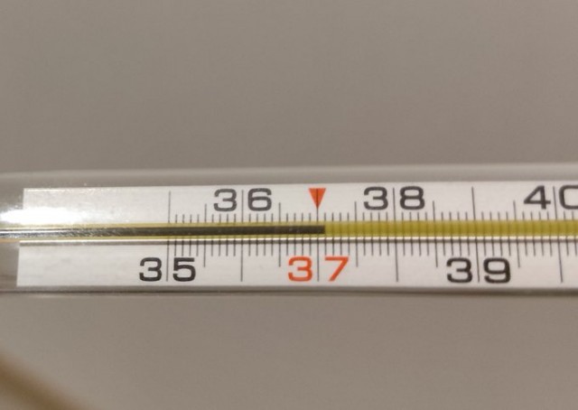 Вот и всё друзья, прощайте...