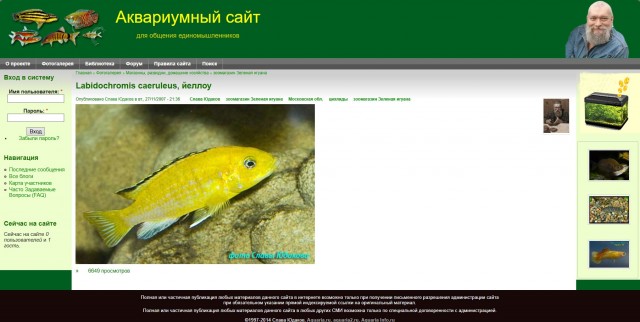С Днем Аквариумиста!