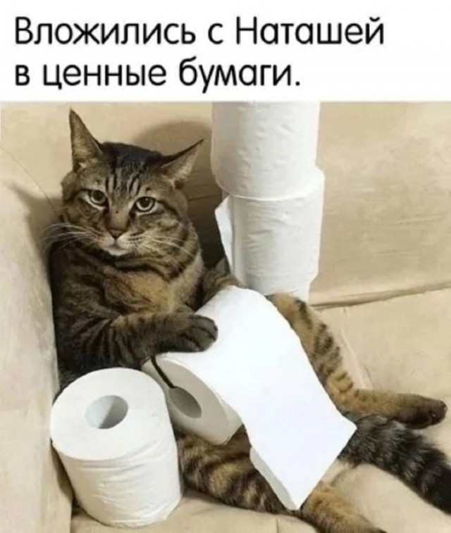 Картинки без критики