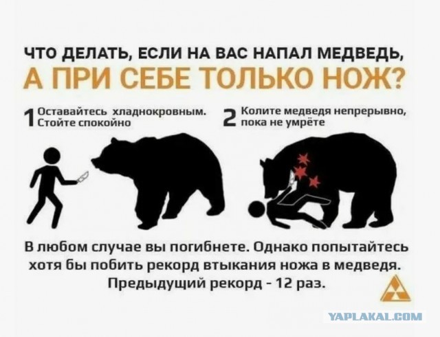 Что будет с вами,при случайной встрече в лесу с бурым медведем.