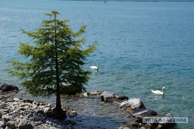 Поездка в Швейцарию