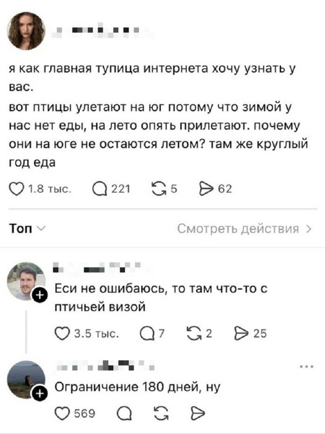 Так себе картинки 28.10.26