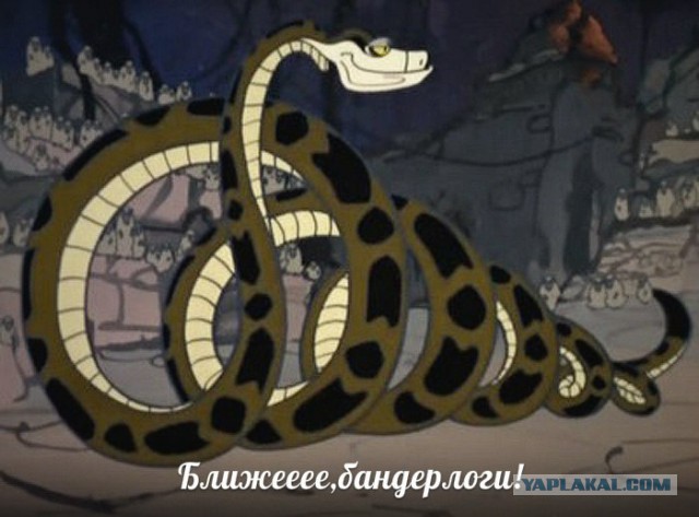 По кому стрелял "Беркут" / "Альфа"