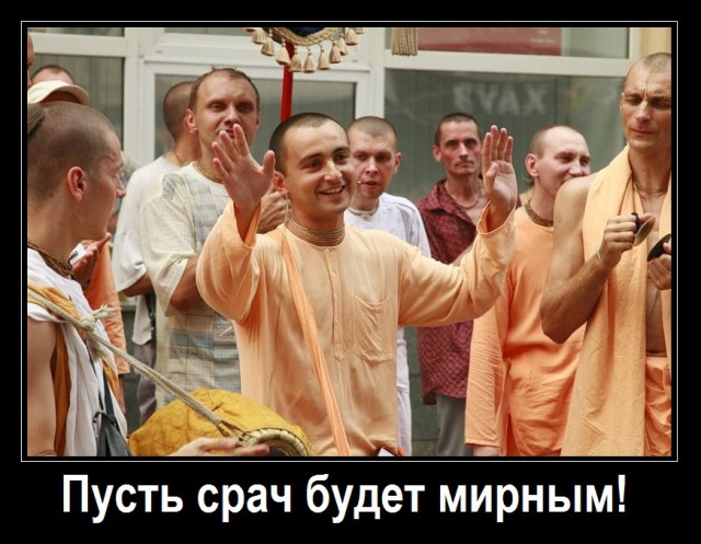 Убили медведя