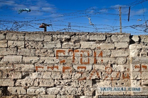 Карантин за крепостной стеной