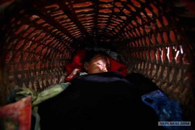 Сонное царство