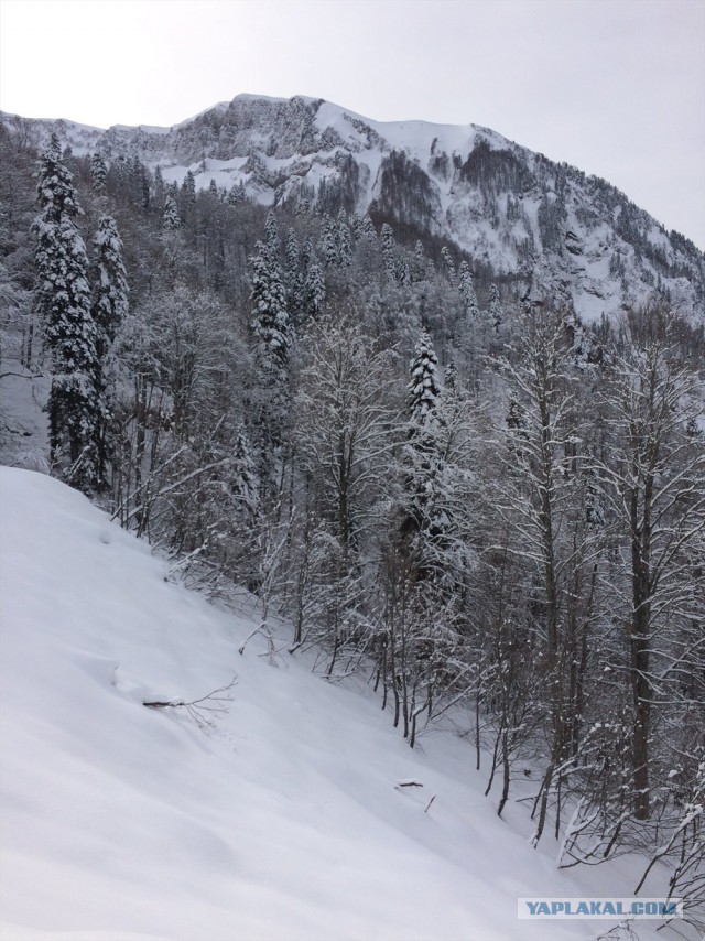 Красная Поляна 2015