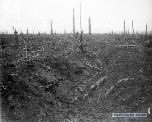 «Зона Руж» — земля, отравленная войной