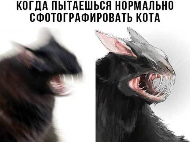 Картинок разных