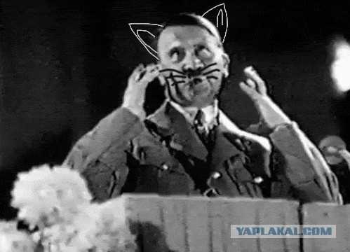 Так выглядит предательство