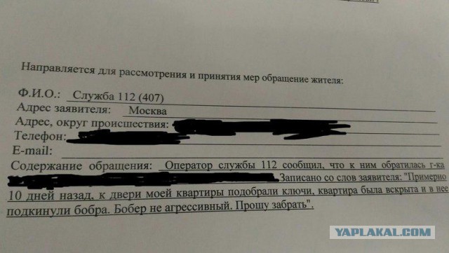 Немного визуального бреда на пятницу