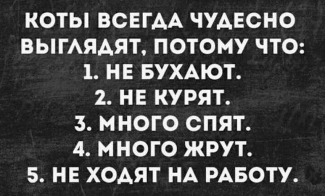 Картинки из ваших интернетов