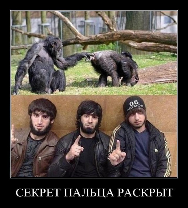 Обвинили в экстремизме из-за мемов с кавказцами