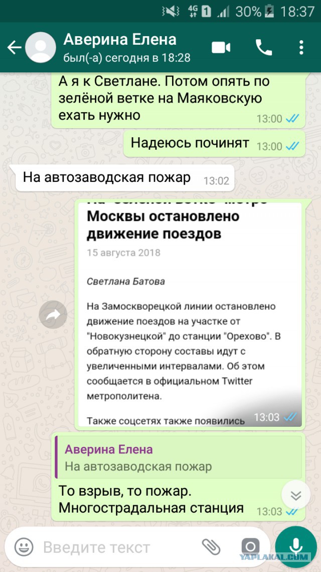 ЧП на зеленой ветке московского метро попало на видео