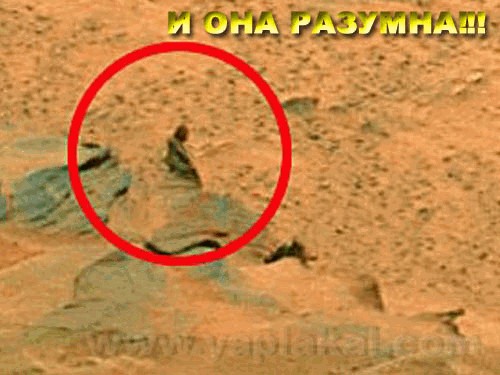 Тема Марса раскрыта