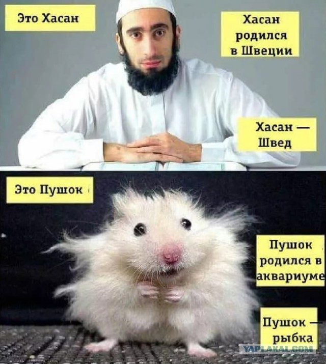 В деле Влада Рябухина, защитившего девушку от пьяных армян сегодня могут поставить точку.