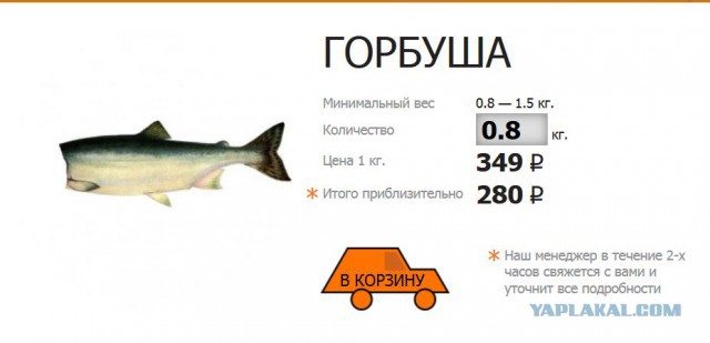 Сколько стоит горбуша в магазинах, в которые вы ходите , друзья?