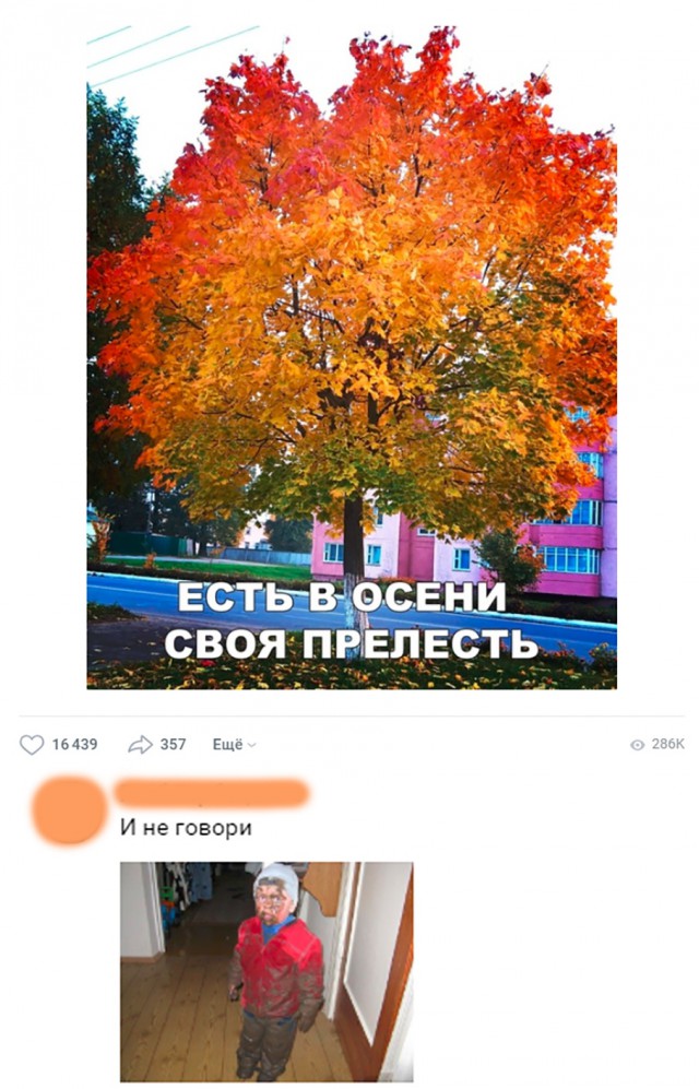 Есть в прелести осенних. Есть в прелести осенних. Фёдор иванович тютчев осенний вечер. Есть в светлости осенних вечеров умильная. Есть в светлости осенних вечеров умильная таинственная прелесть.