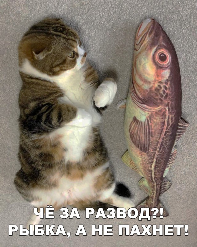 Немного милоты