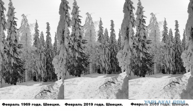 50 лет назад. Февраль 1969 года