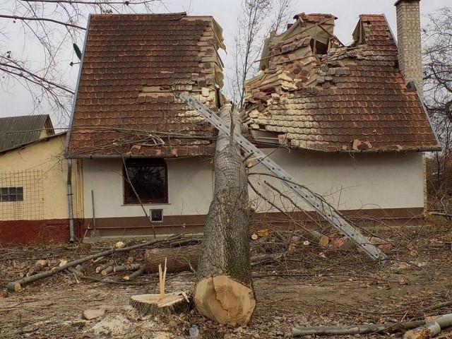 Бывают в жизни огорчения (05.02.20)